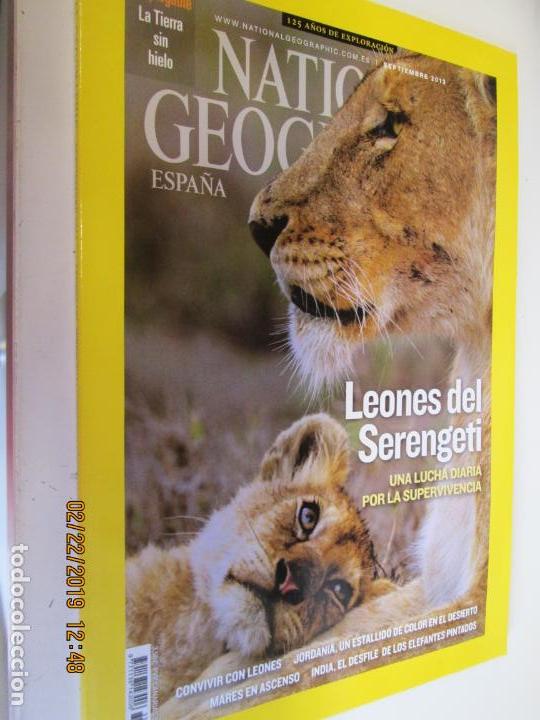 national geographic, leones del serengeti , luc - Compra venta en  todocoleccion