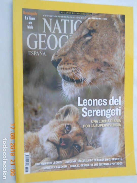 national geographic , españa , leones del seren - Compra venta en  todocoleccion