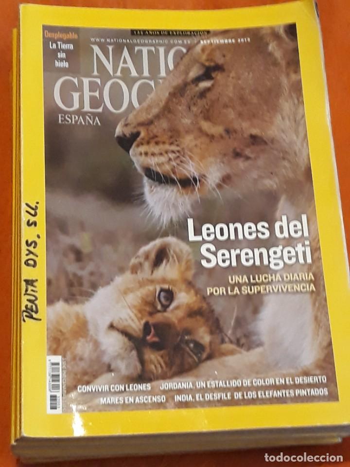 national geographic septiembre 2013 - leones de - Compra venta en  todocoleccion