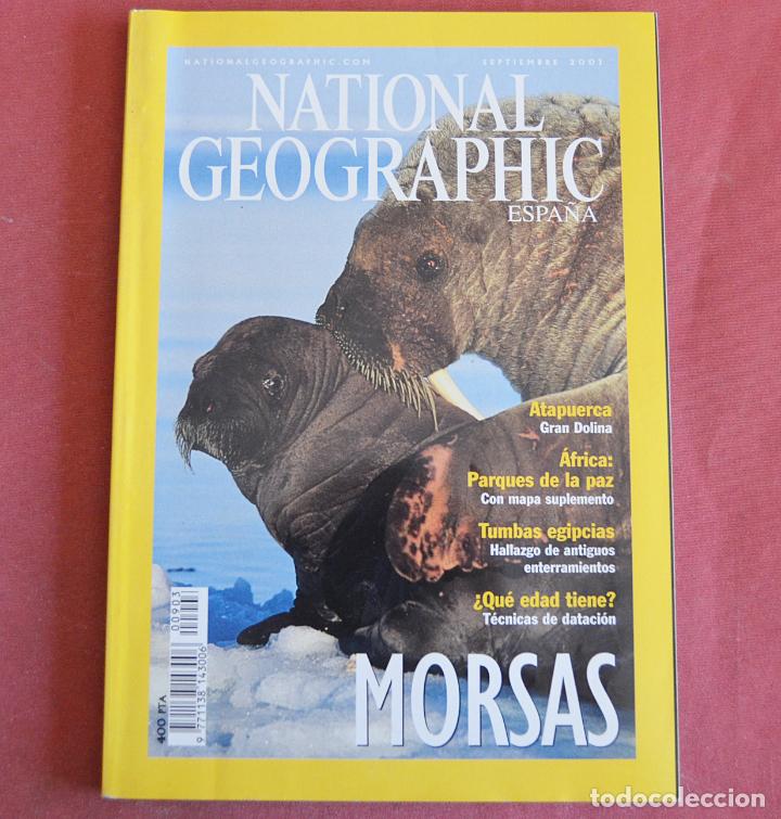 Morsa  National Geographic