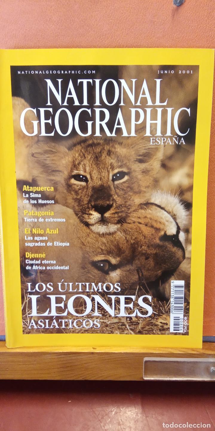 national geographic. los últimos leones asiátic - Compra venta en  todocoleccion