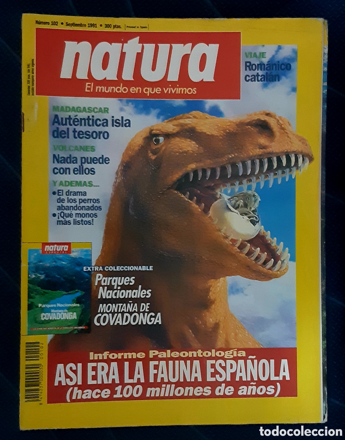 revistas candy - natura 102 con suplemento - bu - Buy Magazine: National  Geographic on todocoleccion