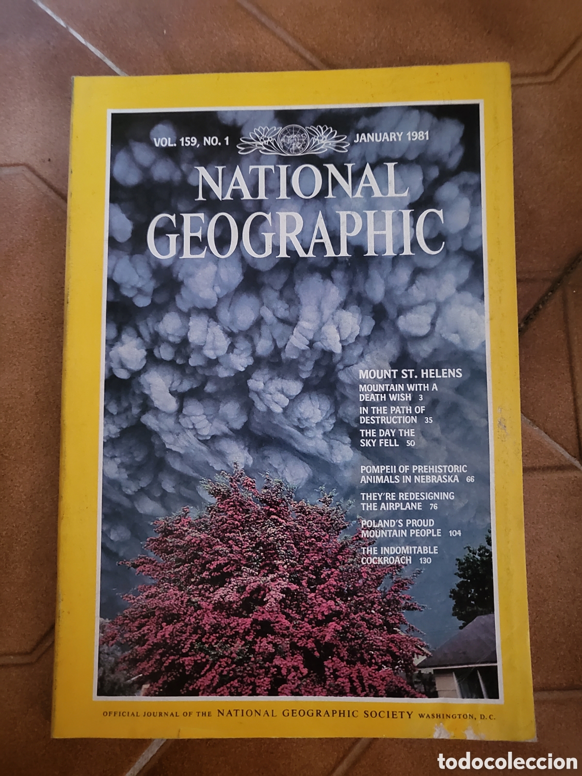 Sammeln von National Geographic: Enero 1981 (volumen 159 n&uacute;mero 1) Revista National Geographic. EDICI&Oacute;N INGLESA