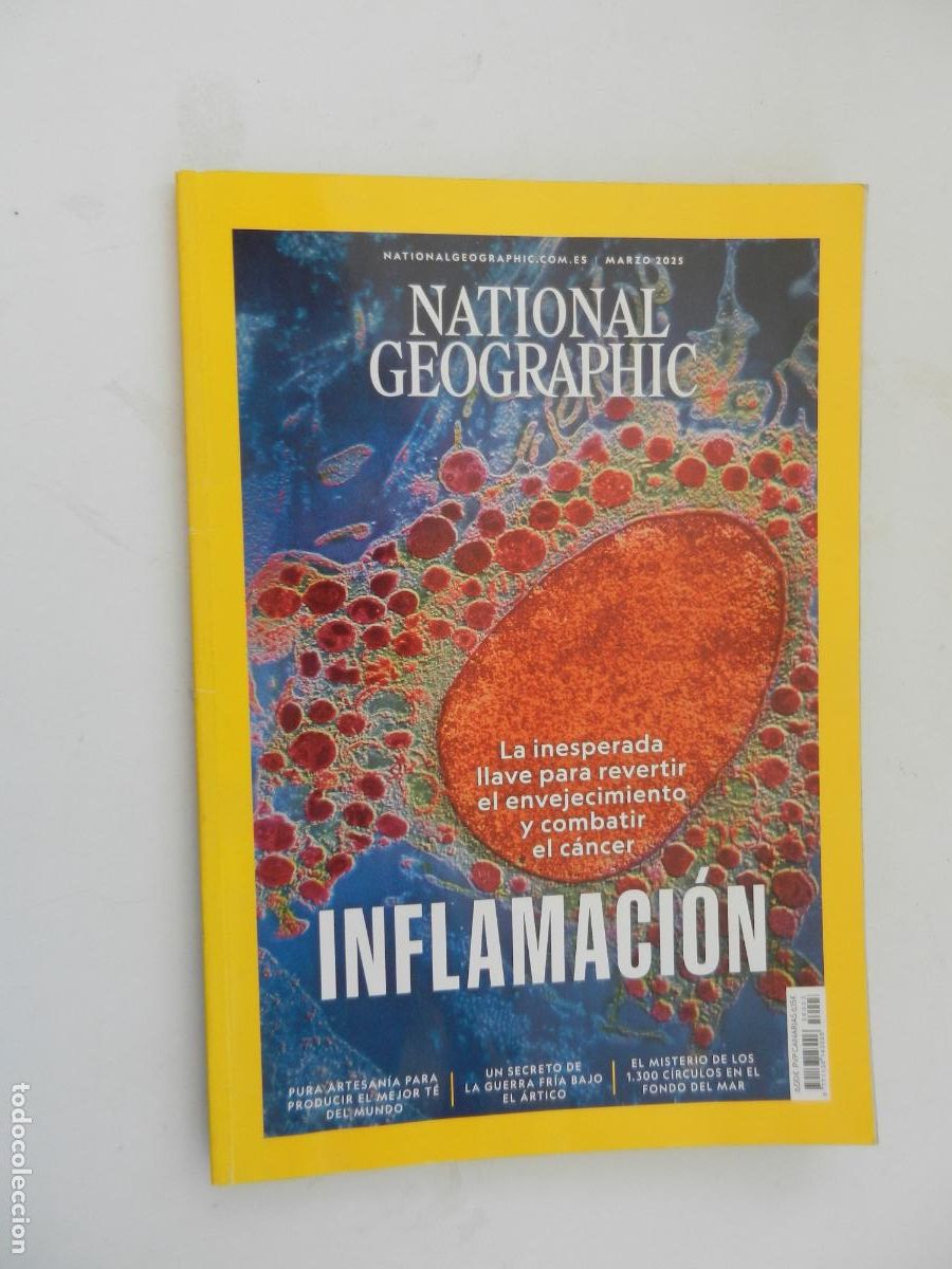 Coleccionismo de National Geographic: NATIONAL GEOGRAPHIC - REVISTA N&ordm; 56003 - MARZO 2025 - INFLAMACI&Oacute;N, EL &Aacute;RTICO, C&Iacute;RCULOS EN EL MAR ...