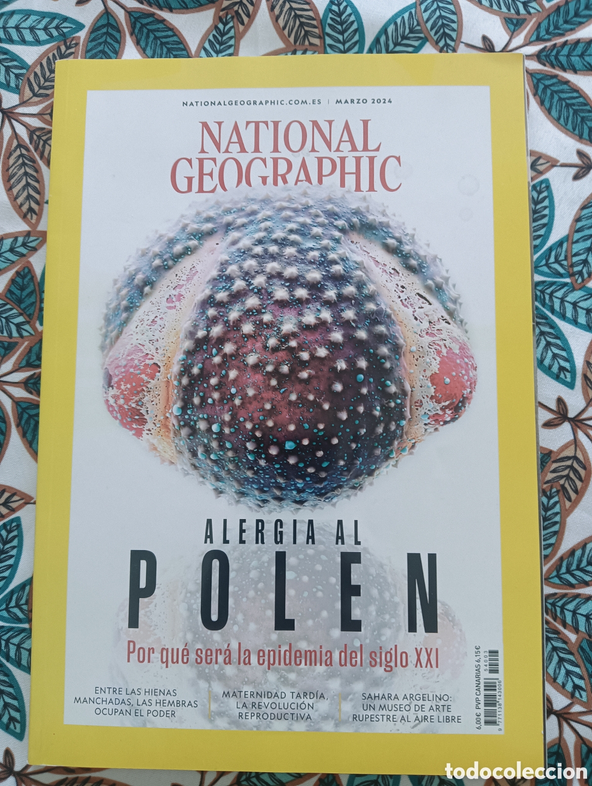 Sammeln von National Geographic: NATIONAL GEOGRAPHIC - MARZO 2024