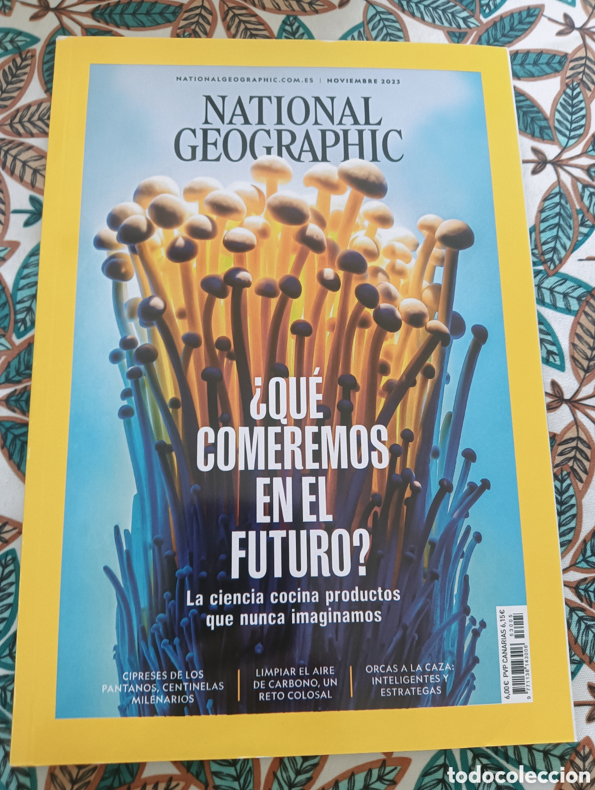 Sammeln von National Geographic: NATIONAL GEOGRAPHIC - NOVIEMBRE 2023
