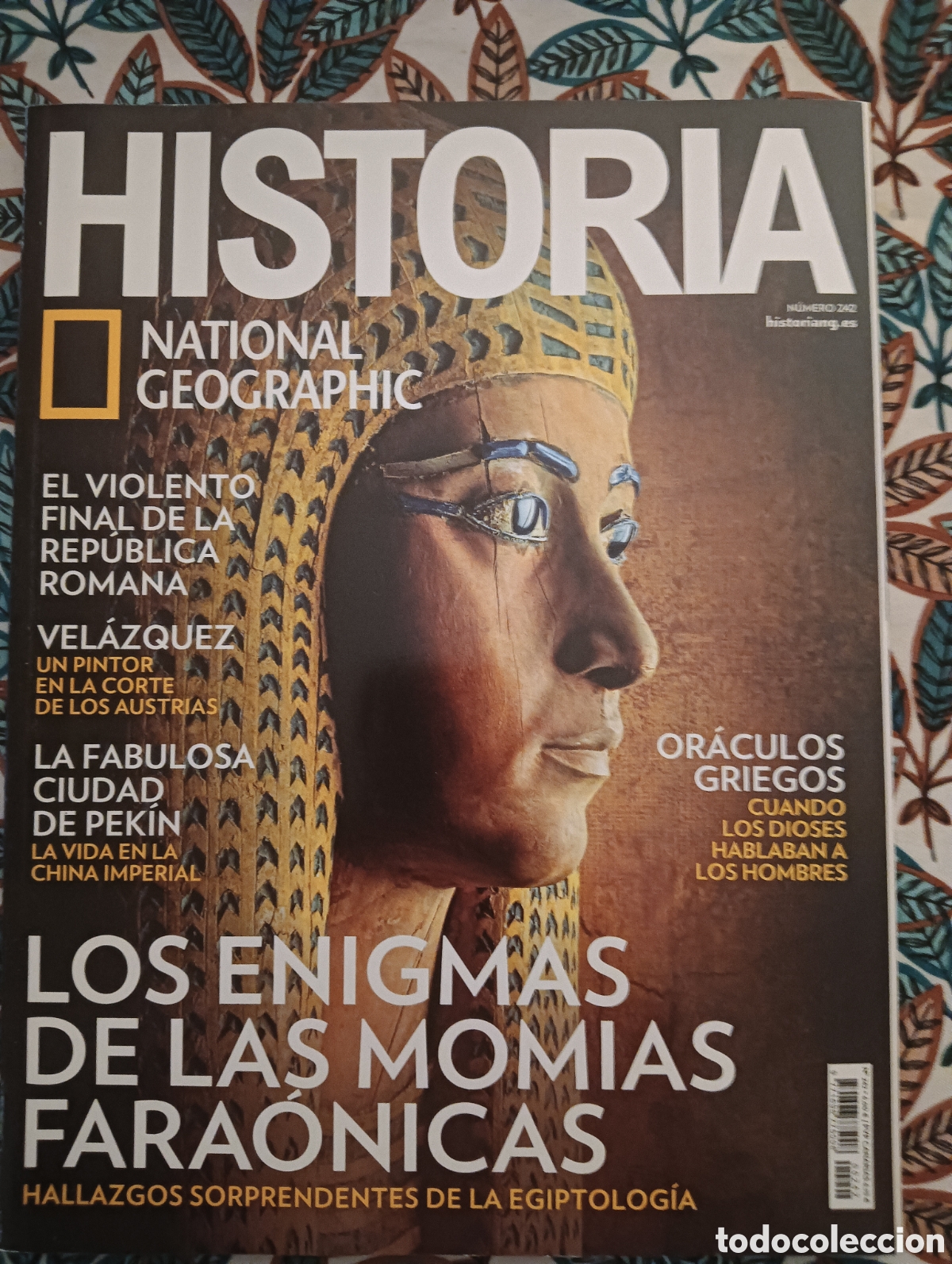 Coleccionismo de National Geographic: NATIONAL GEOGRAPHIC HISTORIA - N&Uacute;MERO 242