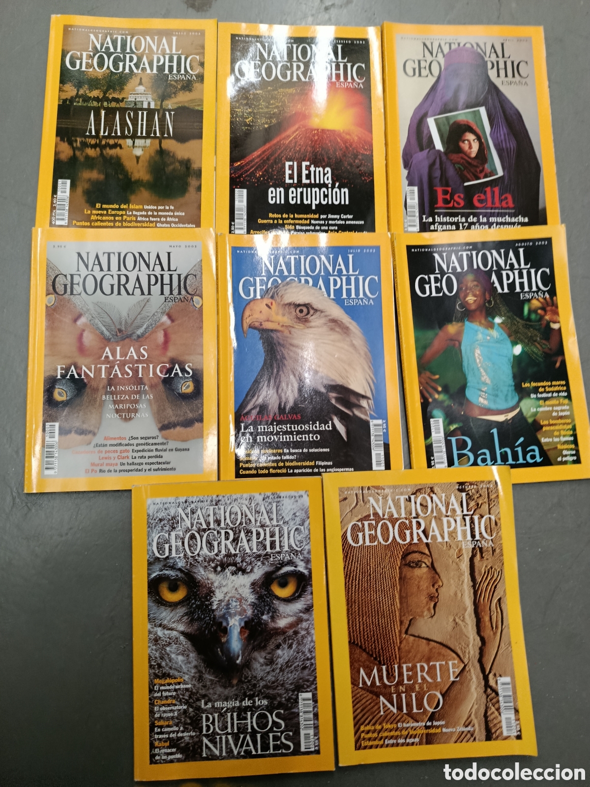 Coleccionismo de National Geographic: Lote 8 revistas National Geographic