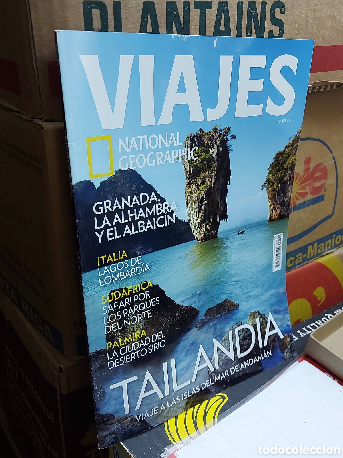 Collection of National Geographic: NATIONAL GEOGRAPHIC a&ntilde;o 1999
