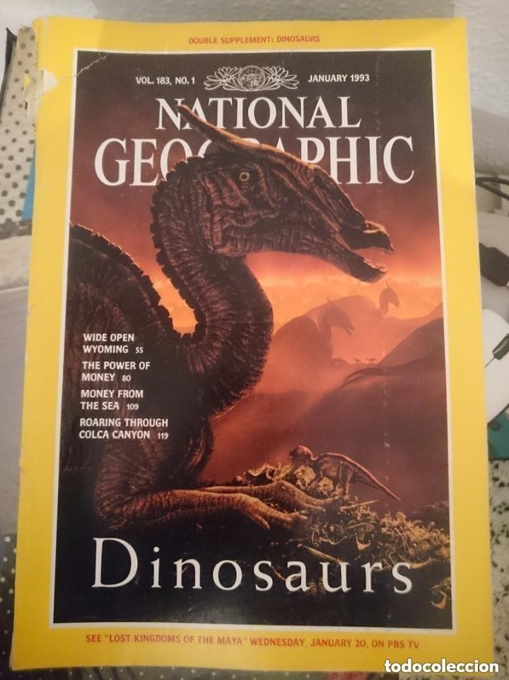 Coleccionismo de National Geographic: NATIONAL GEOGRAPHIC - EN INGLES - VOL 183 N 1 - ENERO 1993 -leer detalles