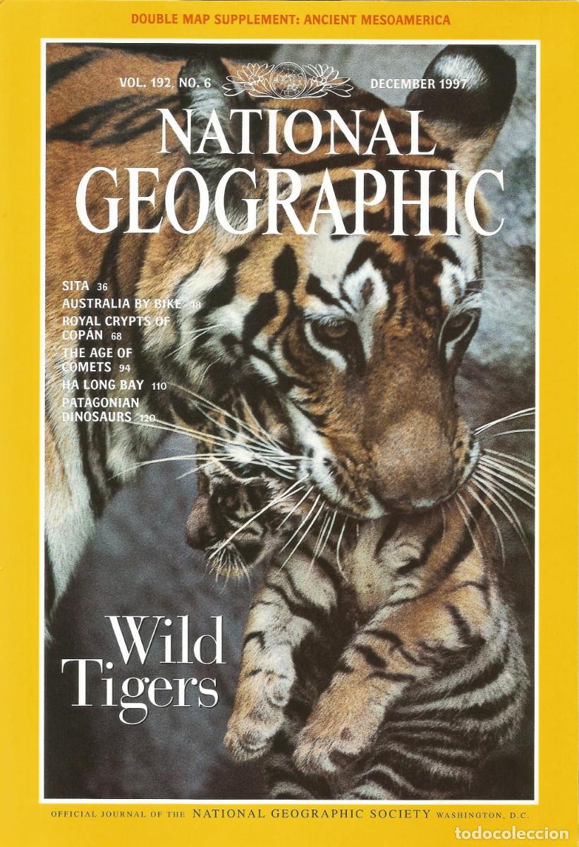 Coleccionismo de National Geographic: Revista National Geographic - Wild Tigers - Vol. 192, No.6 December 1997 - Edici&oacute;n norteamericana