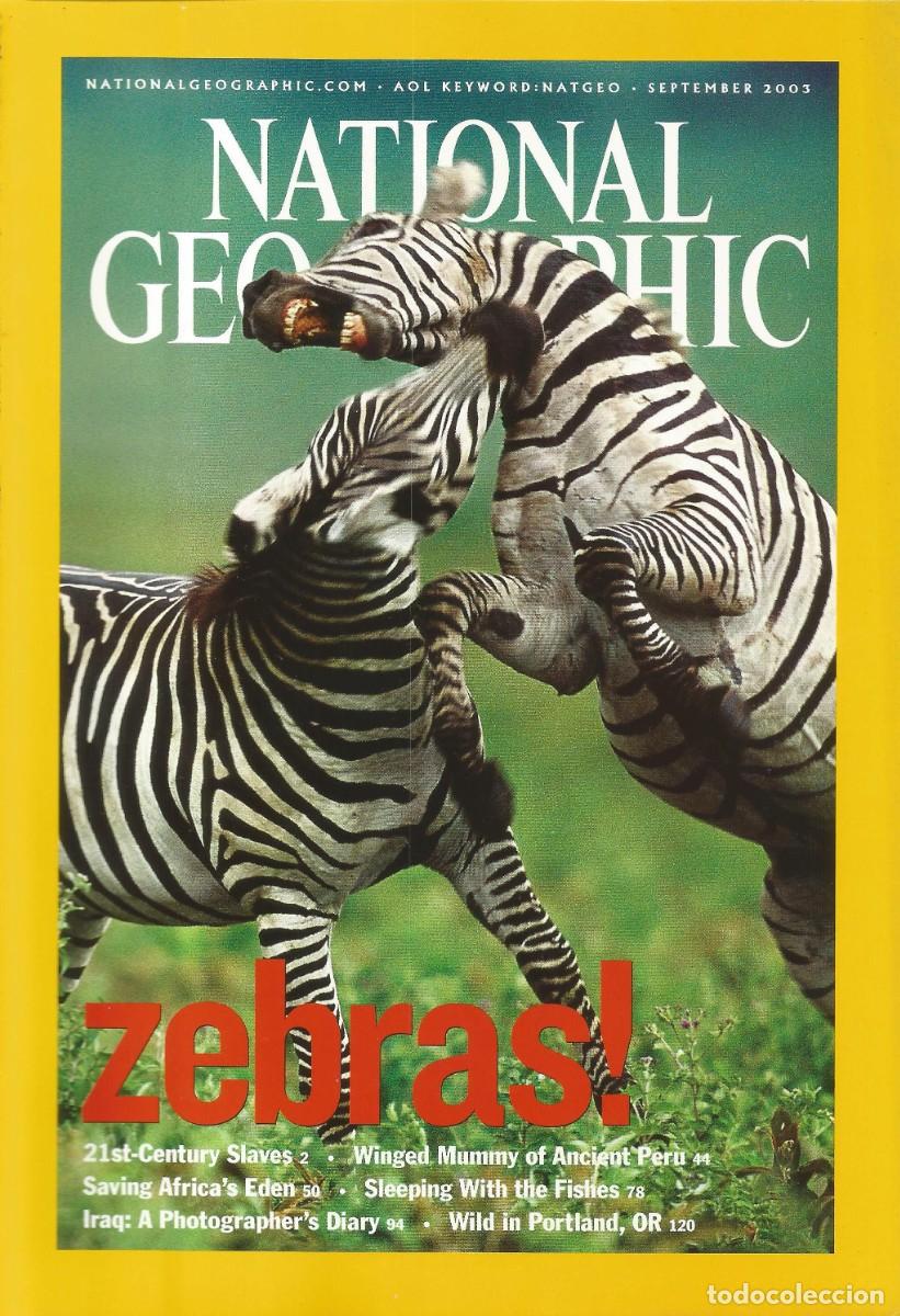 Coleccionismo de National Geographic: Revista National Geographic - Zebras! - Vol. 204, No. 3 September 2003 - Edici&oacute;n en ingl&eacute;s