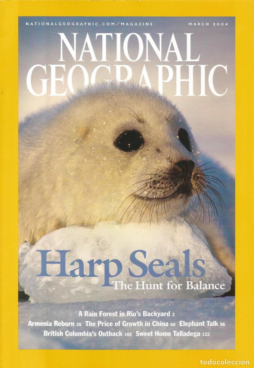 Coleccionismo de National Geographic: Revista National Geographic - Harp Seals - Vol. 205, No. 3, March 2004 - Edici&oacute;n en ingl&eacute;s
