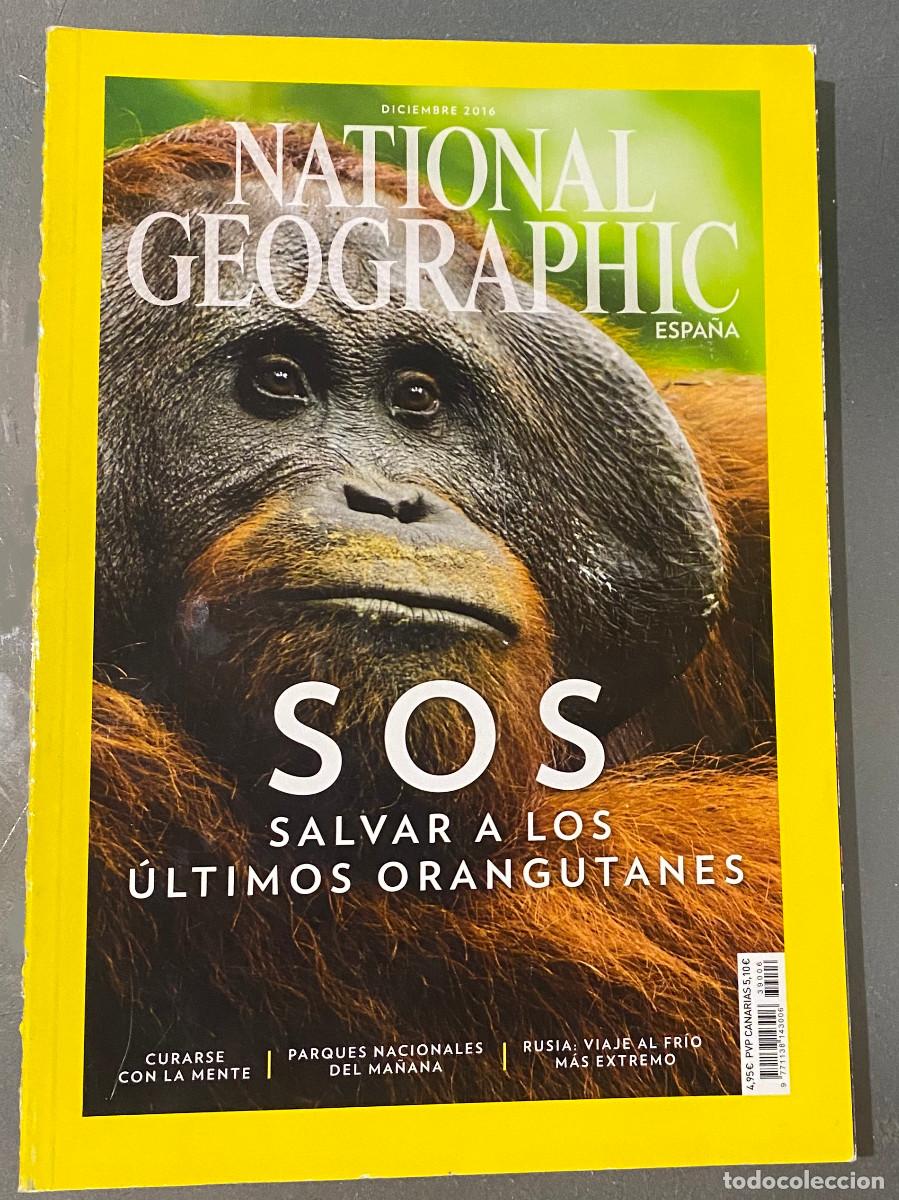 Coleccionismo de National Geographic: Revista 'National Geographic Espa&ntilde;a'. Diciembre 2016. SOS orangutanes en portada. Buen estado.
