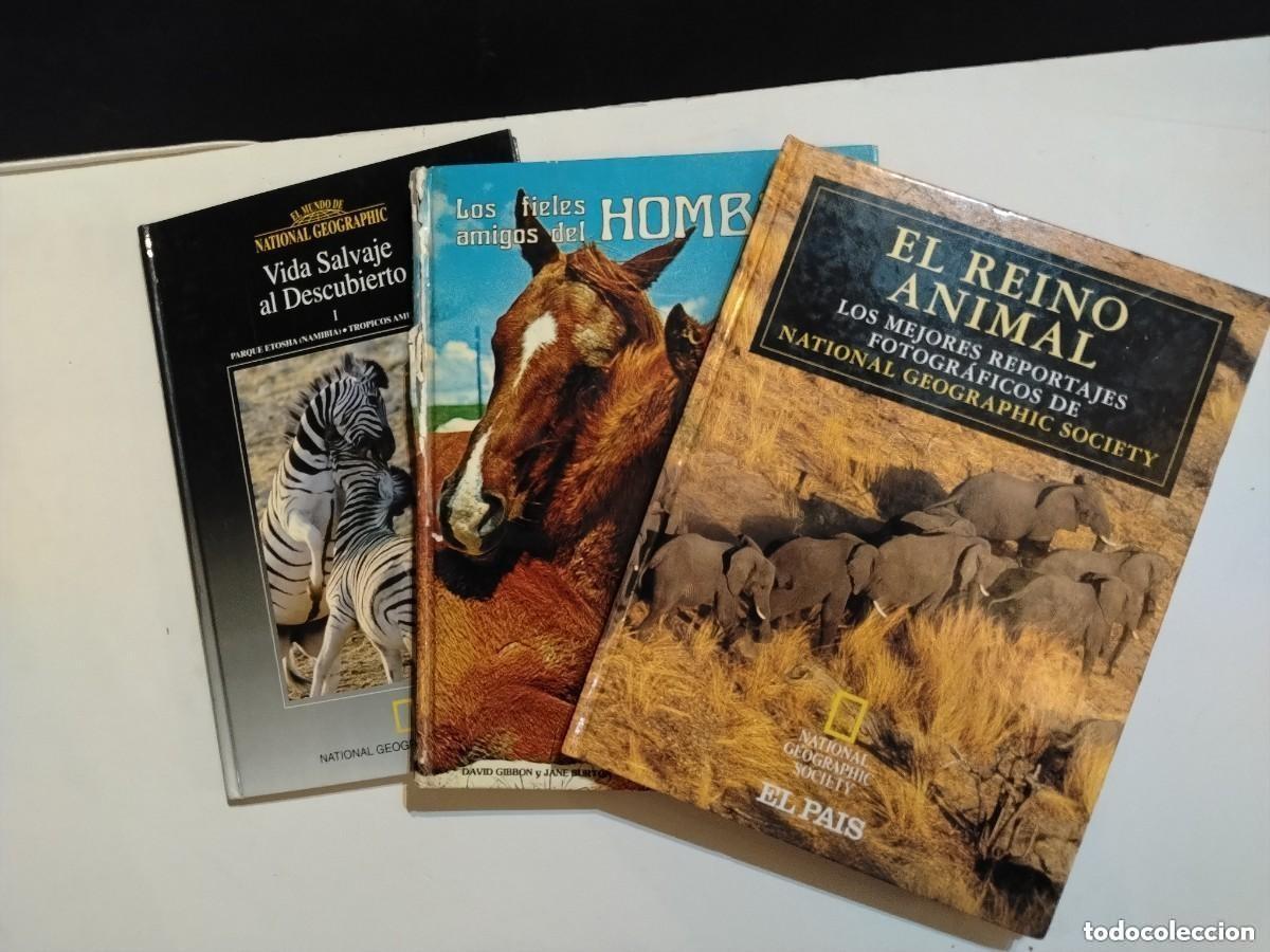 Collectionnisme de National Geographic: 3 LIBROS -NATIONAL GEOGRAPHIC - ANIMALES (VER FOTOS)