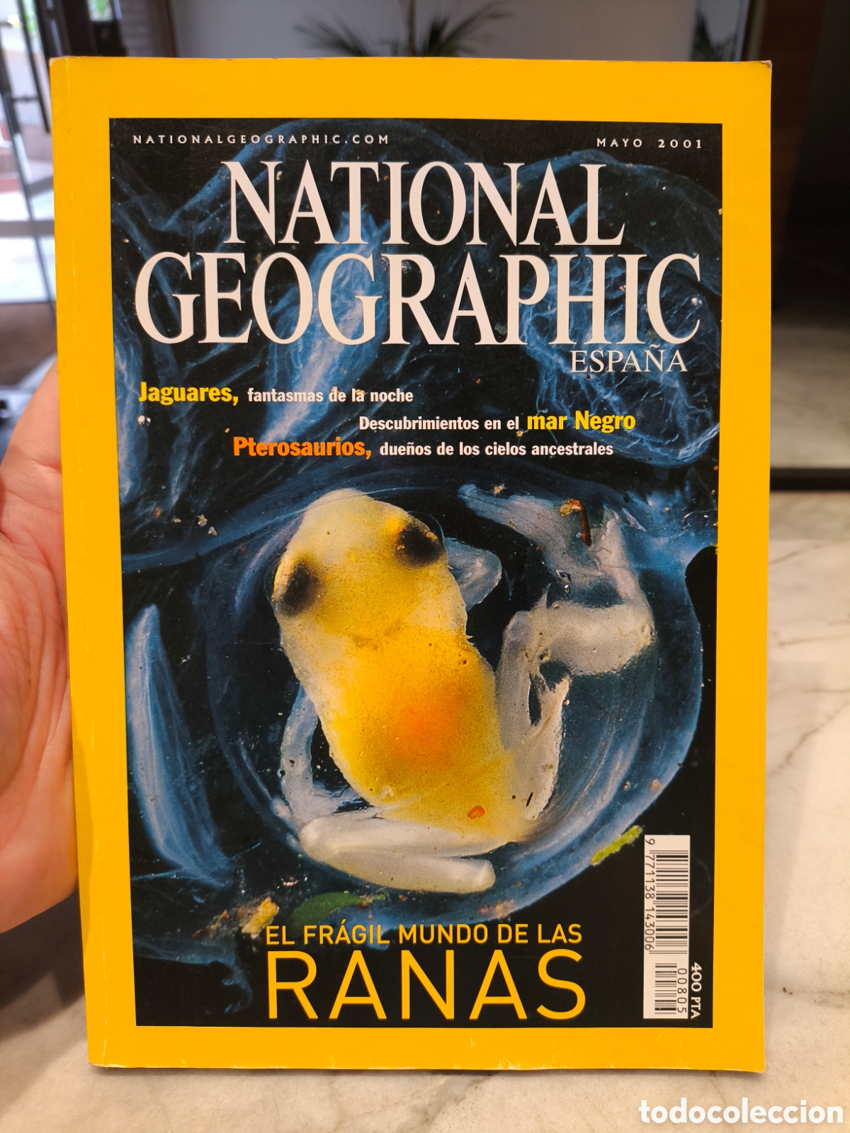 Coleccionismo de National Geographic: Revista National Geographic Espa&ntilde;a mayo 2001 Ranas jaguares