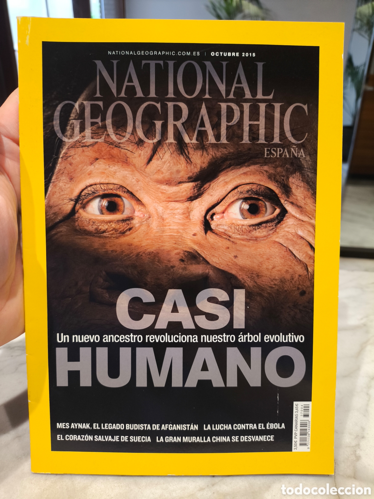 Coleccionismo de National Geographic: Revista National Geographic Espa&ntilde;a octubre 2015 casi humano