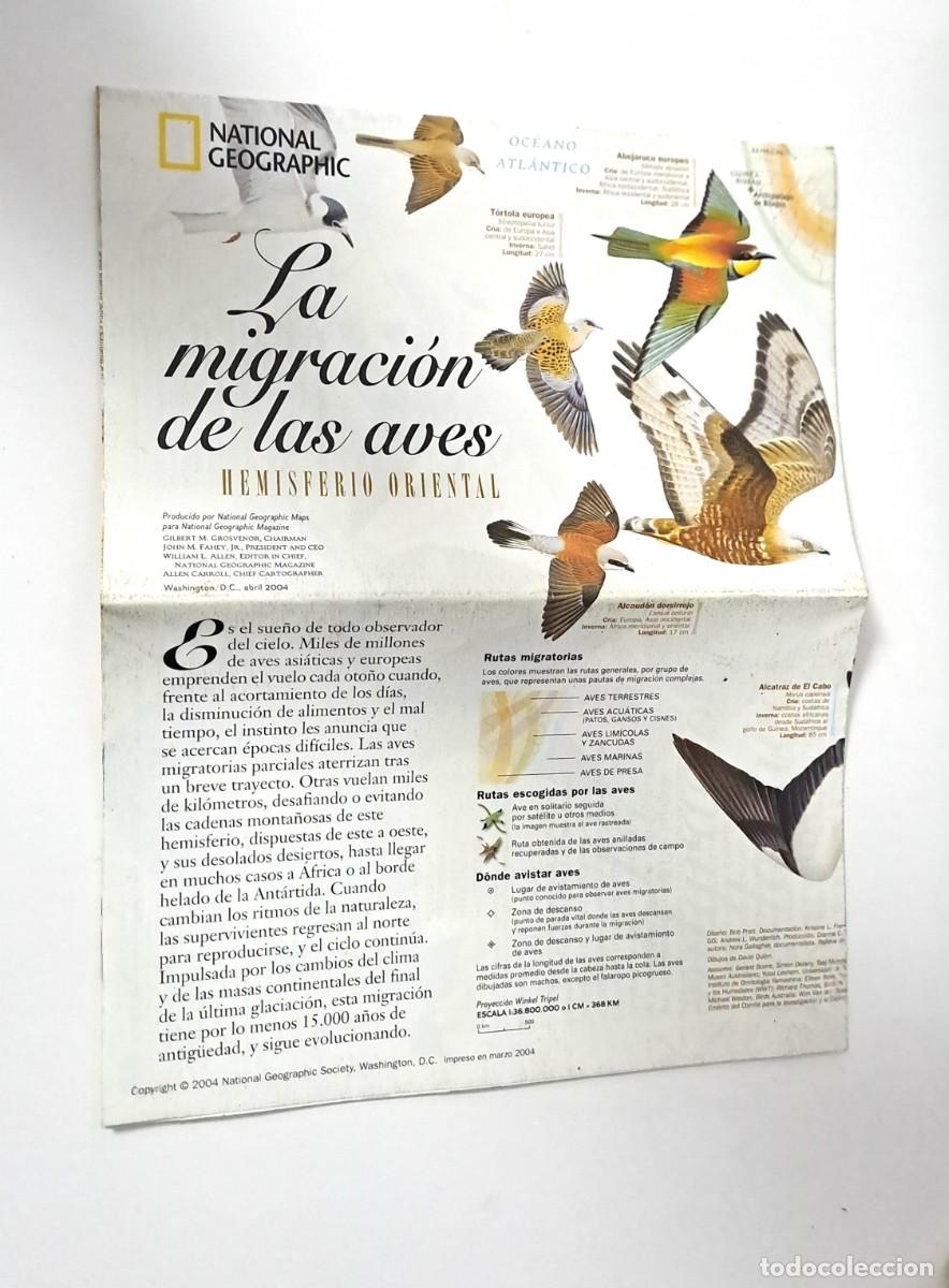 Coleccionismo de National Geographic: LA MIGRACION DE LAS AVES HEMISFERIO ORIENTAL. SUPLEMENTO DESPLEGABLE NATIONAL GEOGRAPHIC. A&Ntilde;O 2004