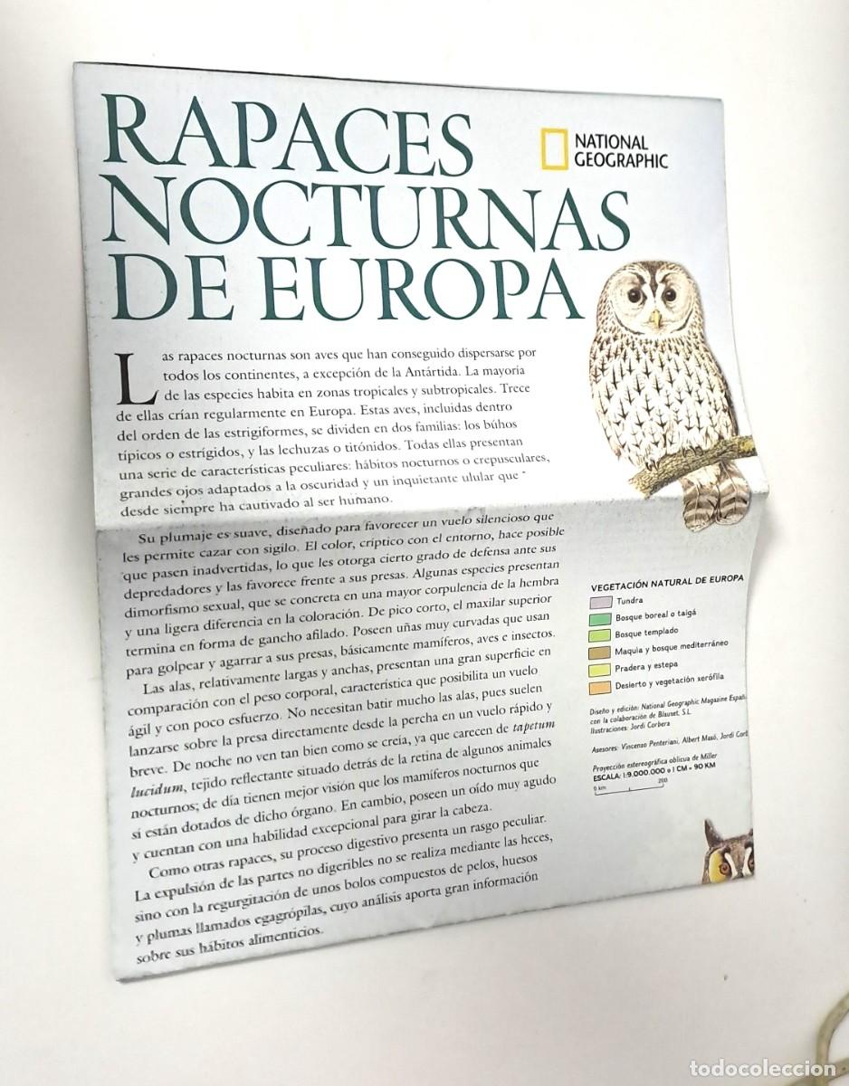 Coleccionismo de National Geographic: RAPACES NOCTURNAS DE EUROPA. SUPLEMENTO DESPLEGABLE NATIONAL GEOGRAPHIC. A&Ntilde;O 2003