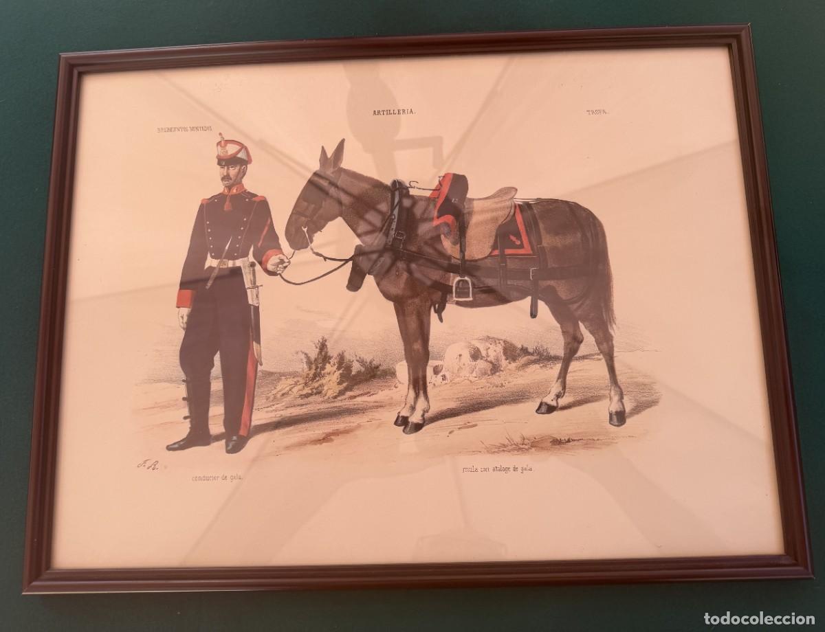 Coleccionismo de revista Temas Espa&ntilde;oles: LAMINA DE SOLDADO UNIFORME DE GALA DE ARTILLERIA MULA ATALAGE DE GALA &rdquo; DE 46 X 34 Cm.