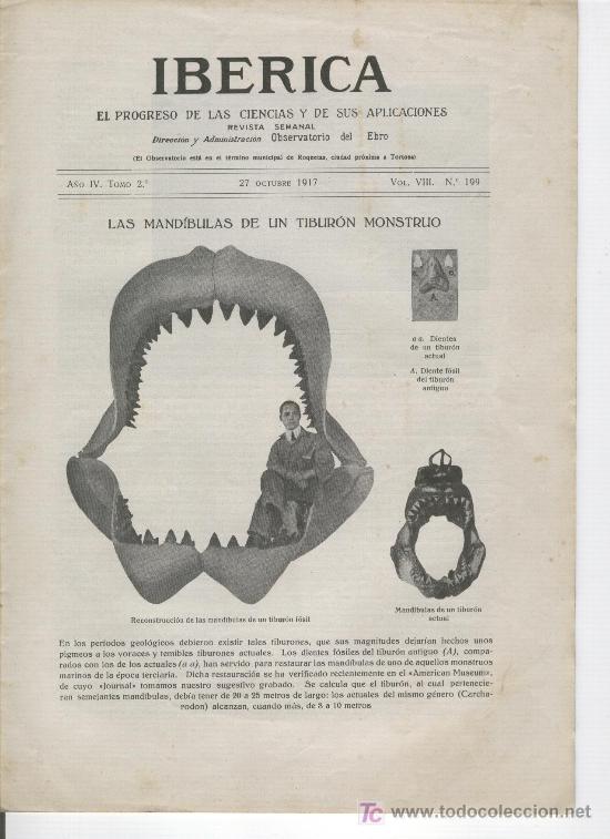 Collezionismo di Riviste e Giornali: IBERICA A&Ntilde;O 1917 FOSIL DE TIBURON LA COMPA&Ntilde;IA TRANSMEDITERRANEA VALENCIA 199 CAYALTI PERU AZUCAR