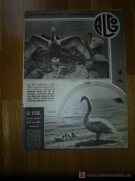 Coleccionismo de revistas y peri&oacute;dicos: REVISTA ALGO. ILUSTRACI&Oacute;N POPULAR - 1935 * C&Aacute;CERES *  VINO * GIBRALTAR *