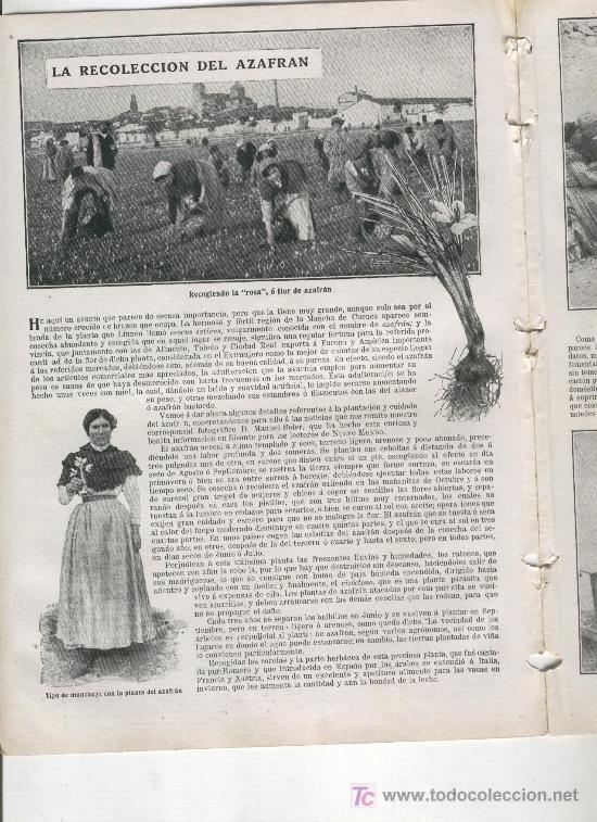Collezionismo di Riviste e Giornali: 1911 EL AZAFRAN EN MONTILLA DEL PALANCAR SISANTE VILLARROBLEDO  BUENAC ALARCON VALVERDE DE JUCAR