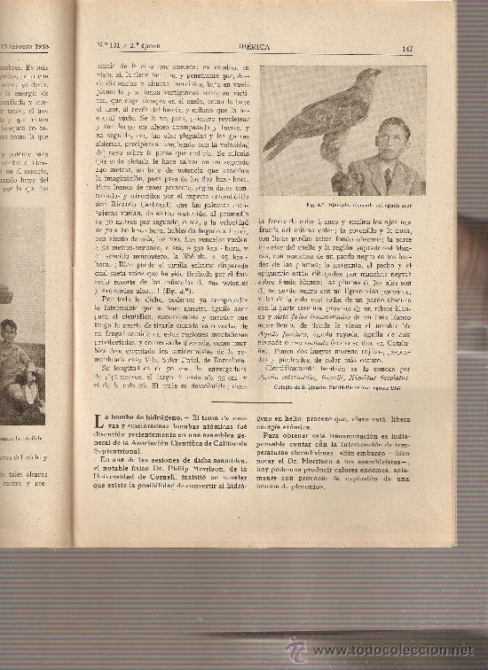 Collectionnisme de Revues et Journaux: REVISTA IBERICA 131.A&Ntilde;O 1948 .EL AGUILA AZOR.GERONA.