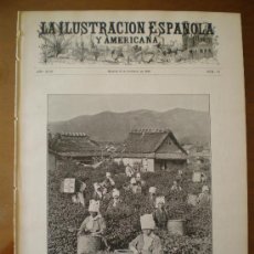 Coleccionismo de Revistas y Periódicos: ILUSTRACION ESPAÑOLA/AMERICANA (15/02/1905) ELCHE ROMERIA DEL ROCIO SLAVA MORENO CARBONERO TE