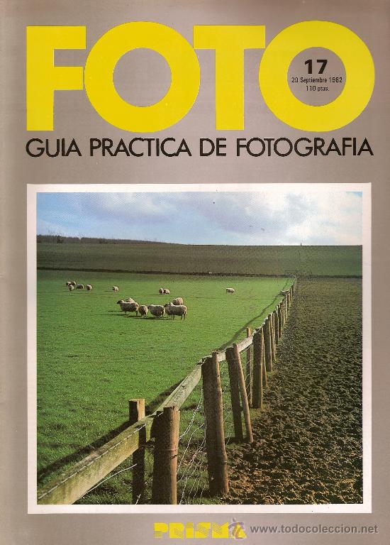 Collection Magazines and Newspapers: FOTO GUIA PRACTICA DE FOTOGRAFIA N&ordm; 17 WERNER FORMAN-CENTRO POMPIDOU ED SALVAT