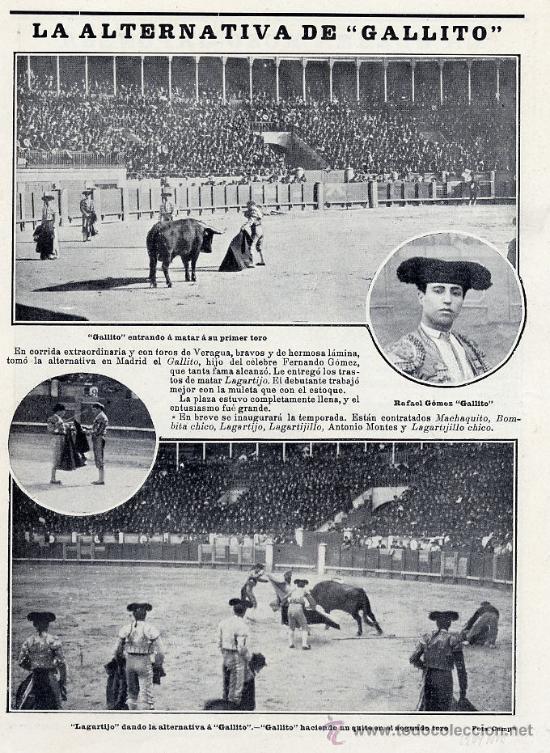 Collection Magazines and Newspapers: TOROS 1904 GALLITO HOJA REVISTA