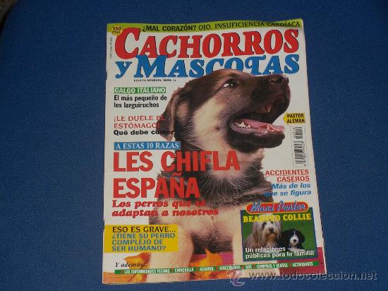 Coleccionismo de revistas y peri&oacute;dicos: REVISTA CACHORROS Y MASCOTAS  N&ordm; 14  CREO QUE DEL A&Ntilde;O 1996