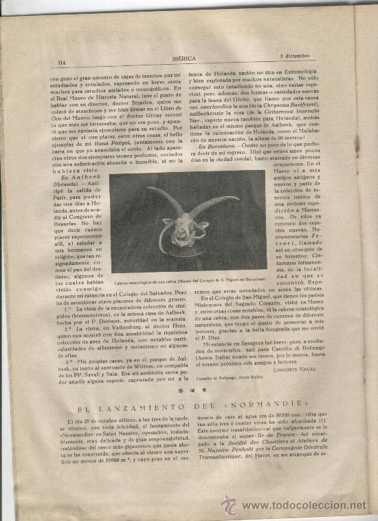 Coleccionismo de revistas y peri&oacute;dicos: REVISTA IBERICA 953 A&Ntilde;O 1932 CABEZA TERATOLOGICA DE UNA CABRA MUSEO SAN MIGUEL  BARCELONA