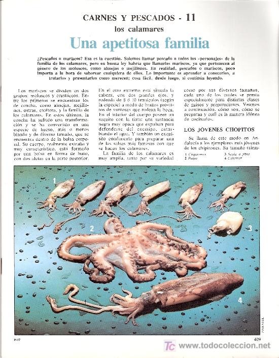Coleccionismo de Revistas y Peri&oacute;dicos: Fasc&iacute;culo. Cocina Paso a Paso. Sarpe. Carnes y pescados 11, 12 y As&iacute; es m&aacute;s facil 7.