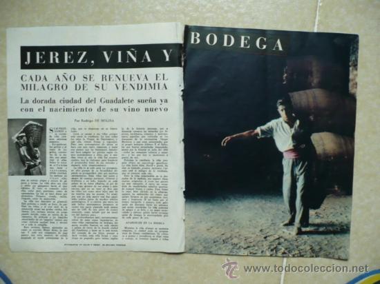Collezionismo di Riviste e Giornali: Jerez, vi&ntilde;a y bodega. Jerez de la Frontera. Art&iacute;culo de la revista Blanco y Negro. 1958