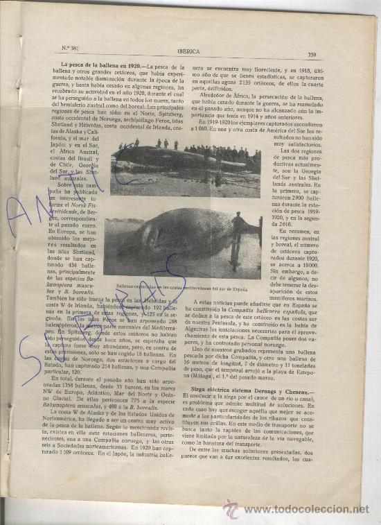 Collection Magazines and Newspapers: IBERICA.381.A&Ntilde;O 1921.LA PESCA DE LA BALLENA EN EL MUNDO Y EN ESPA&Ntilde;A. ESTEPONA. MALAGA.