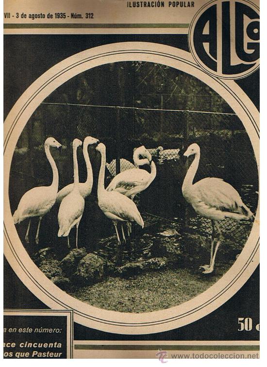 Collection Magazines and Newspapers: Algo n&ordm; 312.