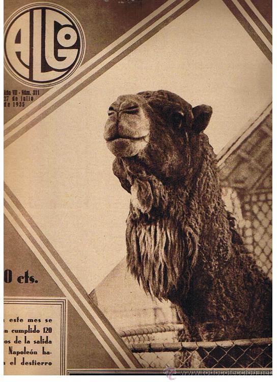 Collection Magazines and Newspapers: Algo n&ordm; 311.