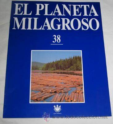 Coleccionismo de revistas y peri&oacute;dicos: FASC&Iacute;CULO EL PLANETA MILAGROSO N&ordm; 38, RBA EDITORES, 1994