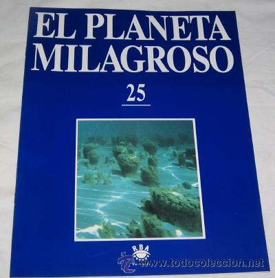 Coleccionismo de revistas y peri&oacute;dicos: FASC&Iacute;CULO EL PLANETA MILAGROSO N&ordm; 25, RBA EDITORES, 1994