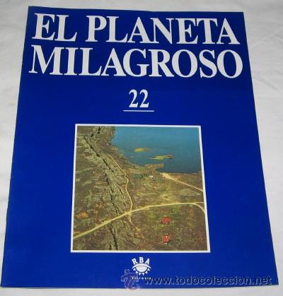 Coleccionismo de revistas y peri&oacute;dicos: FASC&Iacute;CULO EL PLANETA MILAGROSO N&ordm; 22, RBA EDITORES, 1994