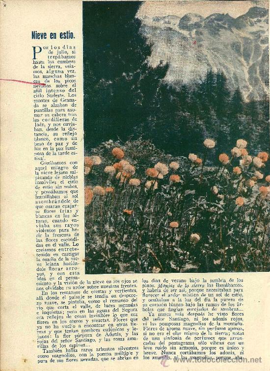 Collezionismo di Riviste e Giornali: Nieve en est&iacute;o / art&iacute;culo de Mariano Tom&aacute;s-1933