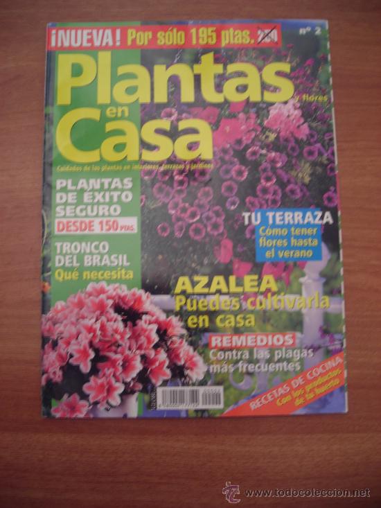 Sammeln von Zeitschriften und Zeitungen: REVISTA PLANTAS EN CASA N&ordm; 2- AZALEA PUEDES CULTIVARLA EN CASA