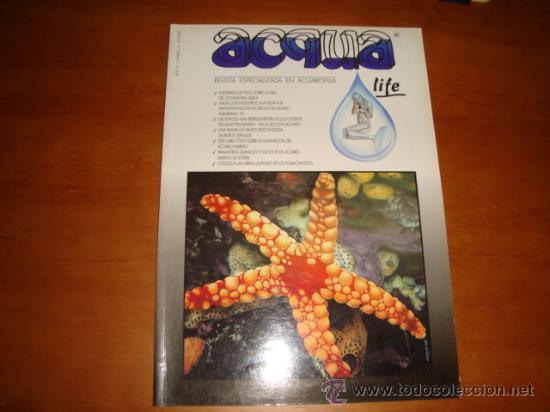 Collection Magazines and Newspapers: revista especializada en acuariofilia, a&ntilde;o 4, numero 14, ACQUA