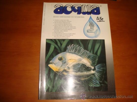 Collection Magazines and Newspapers: revista especializada en acuariofilia, a&ntilde;o v, numero 13, ACQUA