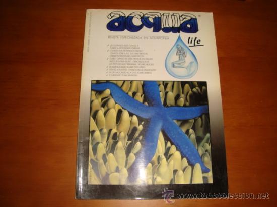 Collection Magazines and Newspapers: revista especializada en acuariofilia, a&ntilde;o 4, numero 12, ACQUA