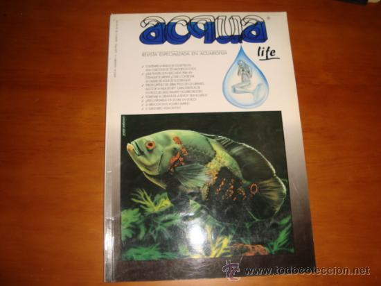 Collection Magazines and Newspapers: revista especializada en acuariofilia, a&ntilde;o 4, numero 11, ACQUA