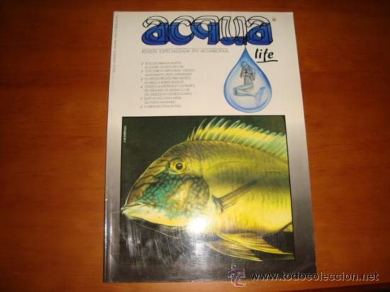 Collection Magazines and Newspapers: revista especializada en acuariofilia, a&ntilde;o III, numero 8, ACQUA