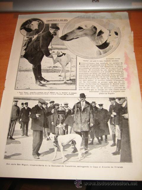 Sammeln von Zeitschriften und Zeitungen: CARRERA DE GALGOS  HOJA REVISTA NUEVO MUNDO 1913