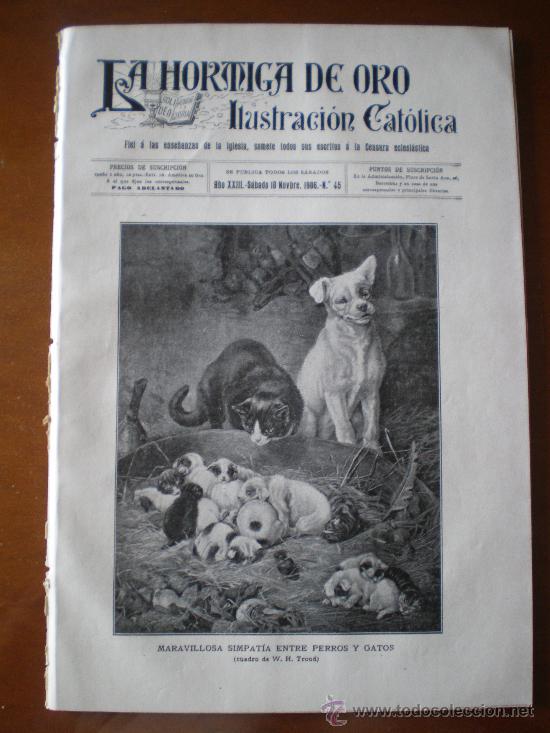 Coleccionismo de revistas y peri&oacute;dicos: LA HORMIGA DE ORO N&ordm; 45 (10/11/06) SALLENT FUNICULAR VALLVIDRERA LA HABANA SANTOS DUMONT